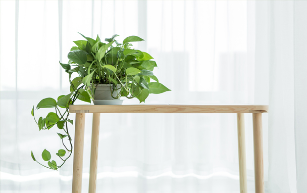 深圳市未來安全技術(shù)有限公司